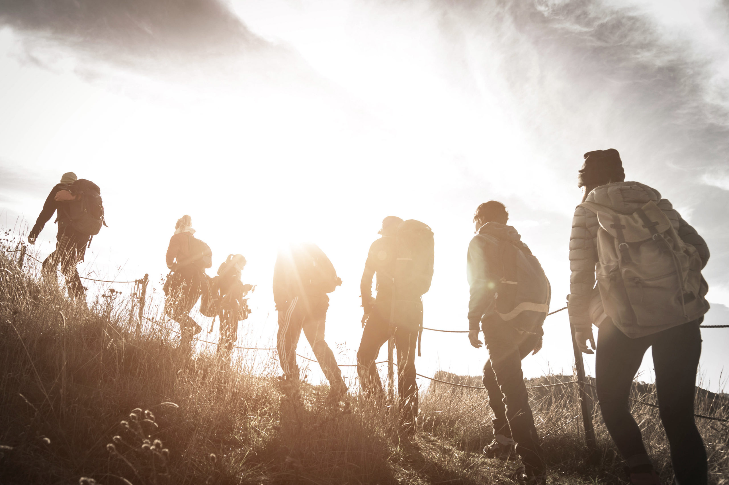 Learn from the Leaders: Harnessing the Power of the Team to Win